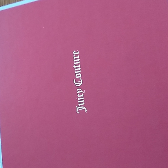 Juicy Couture bow toggle necklace - Picture 2 of 2